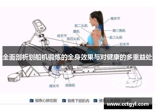 全面剖析划船机锻炼的全身效果与对健康的多重益处