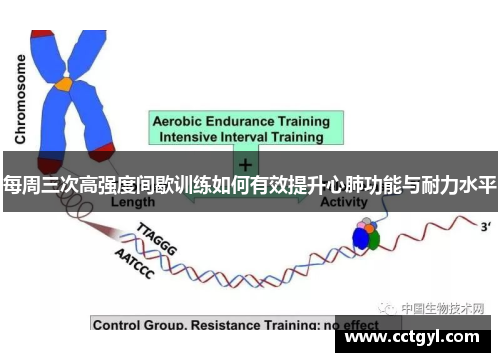 每周三次高强度间歇训练如何有效提升心肺功能与耐力水平