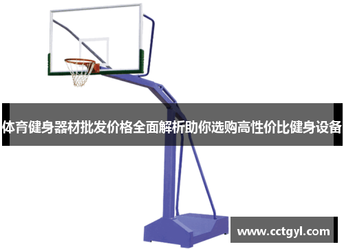 体育健身器材批发价格全面解析助你选购高性价比健身设备