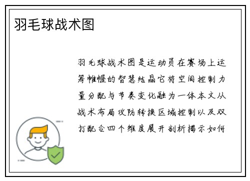 羽毛球战术图