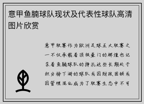 意甲鱼腩球队现状及代表性球队高清图片欣赏